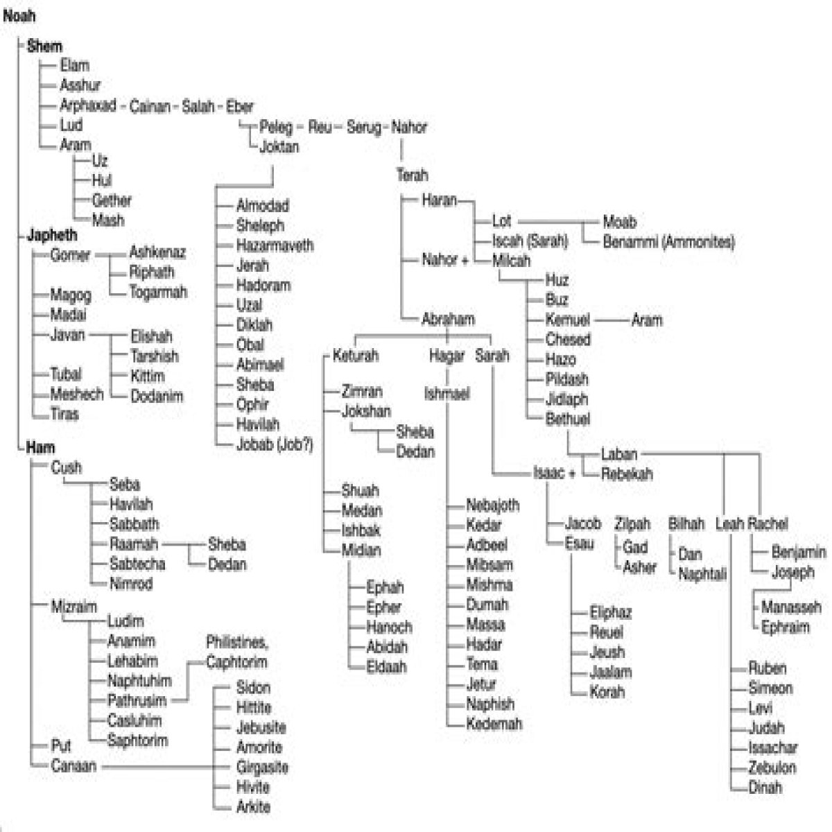 HTML